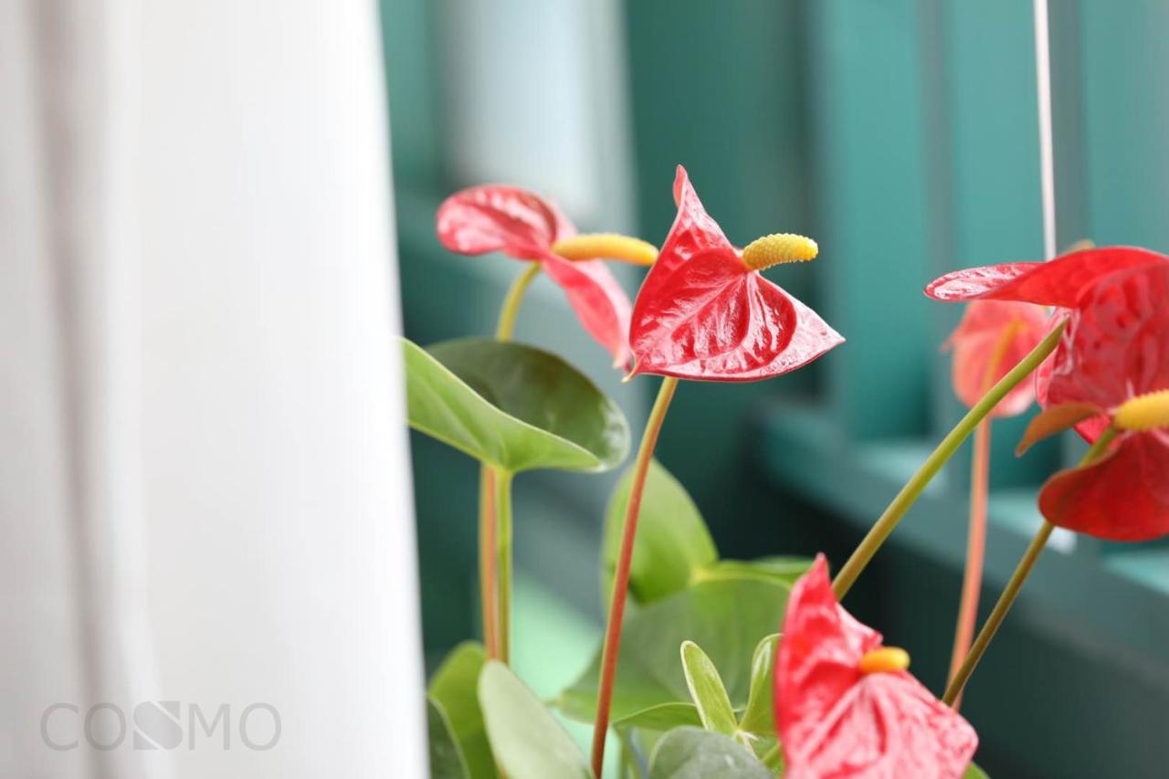 Shanghai Cosmo World Union Service Apartment Екстериор снимка